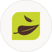 avatar_logo_alex-kitchen_light