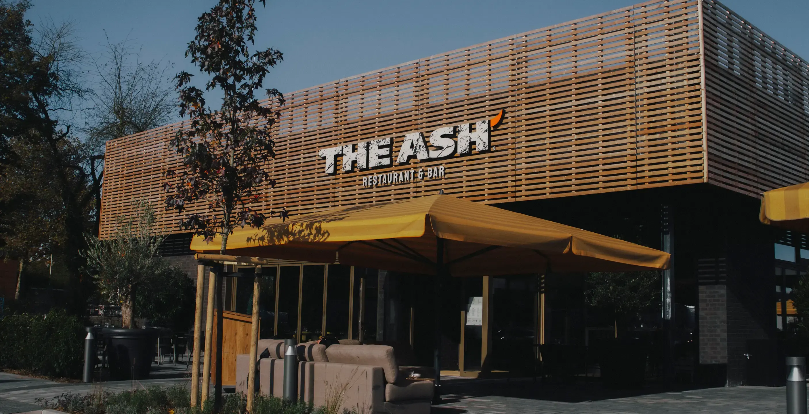 stories_the-ash